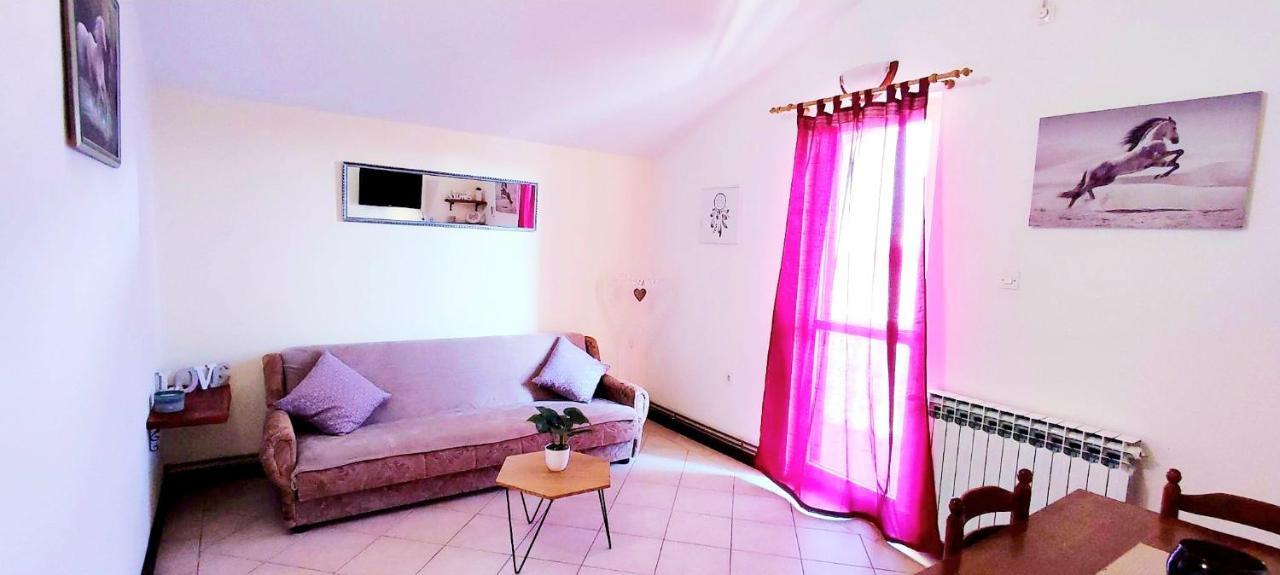Apartmani Drazi Plimica ヴォディツェ エクステリア 写真
